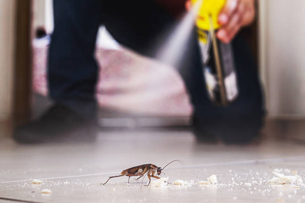 Trusted Franconia, VA Pest Control Experts